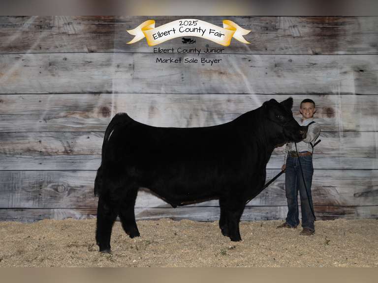 Wade  White  Kiowa Community 4-H Club
