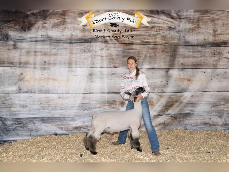 Randi  Carson  Rural Rustlers 4H