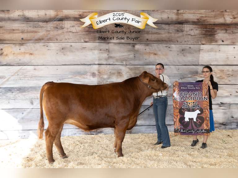 Katryna   Reitzig   Ranchin’ Rookies