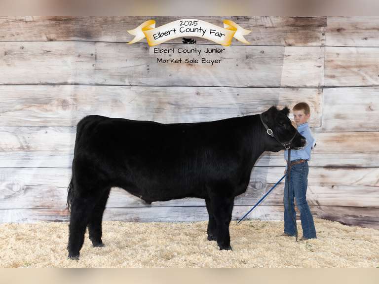 Case  Carnahan  Kiowa Community 4-H