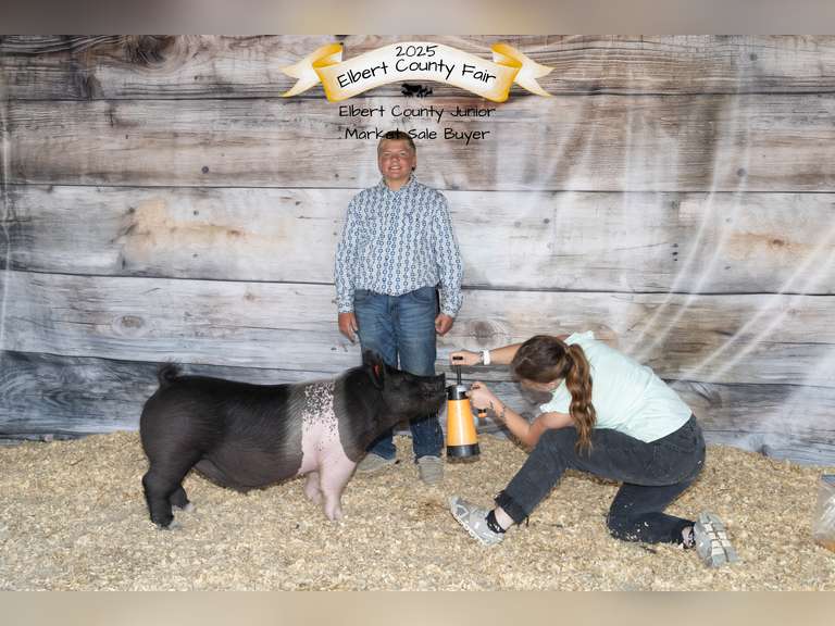 Dalton  Hudgins  Running Creek 4-H Club