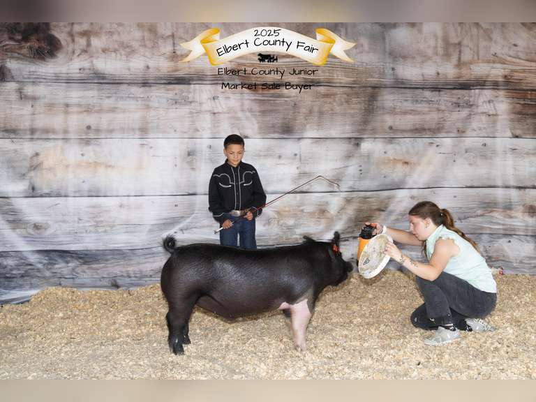 Benicio  Guevara-Hudson  Rattlesnake 4-H Club