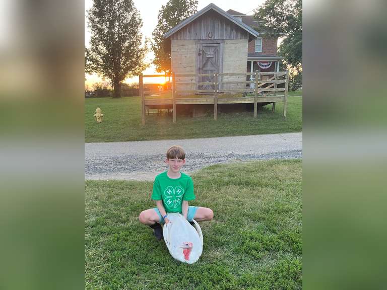 Michael  Schaefer  Kinder Farm Park