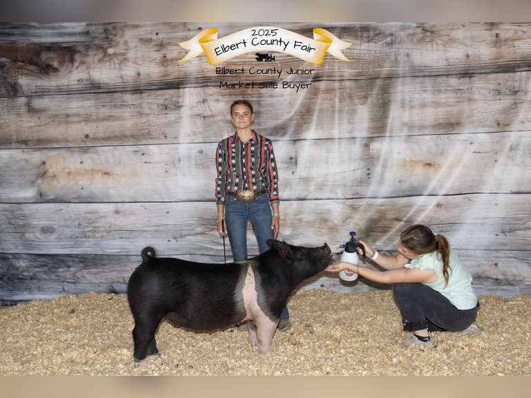 Jayden  Braun  Gold Creek
