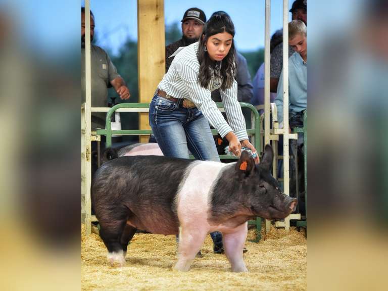 Karina  Vidales  Kiowa Community 4-H Club