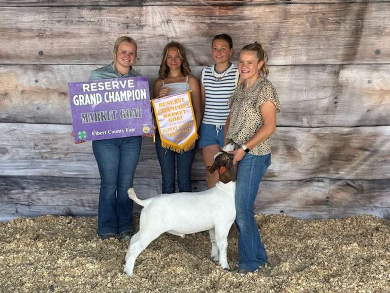 Sadie  McWhorter  Ranchin Rookies