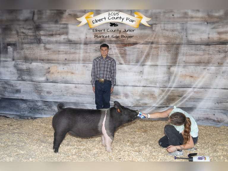 Antonio   Guevara-Hudson  Rattlesnake 4-H Club