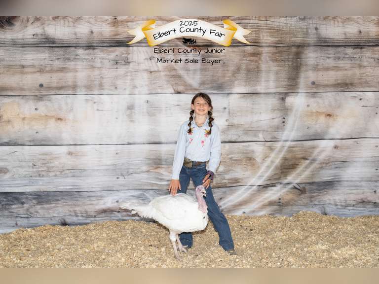 Addison  Joest  Kiowa Community 4-H Club