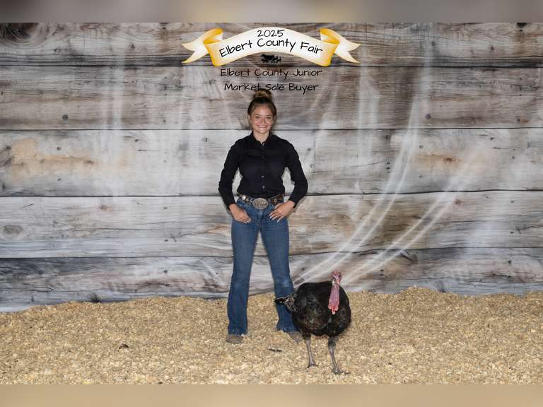 Delaney  Riedel  highplains