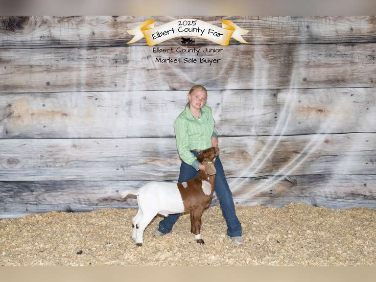 Paisley  Erker  Ranchin Rookies