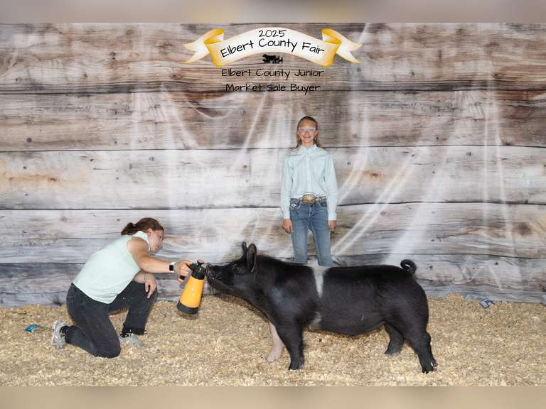 Haley   Burris   Rattlesnake 4-H club