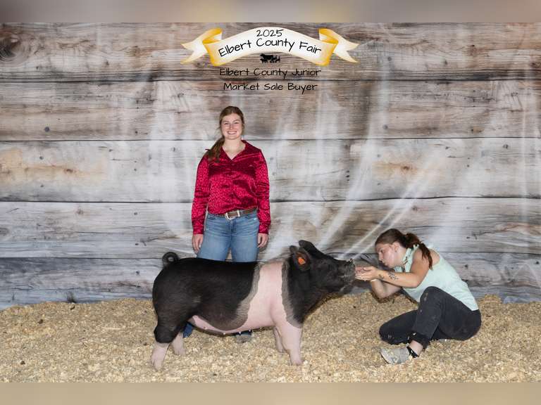 Madison  Wear  Elbert Creekside