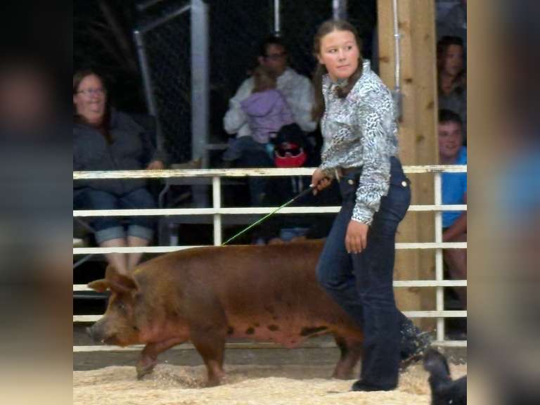 Tabitha  Cabrera  Gold Creek 4-H