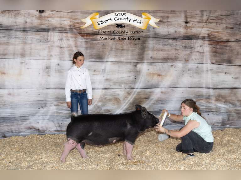 Bailey  Riniker  Kiowa Community 4H