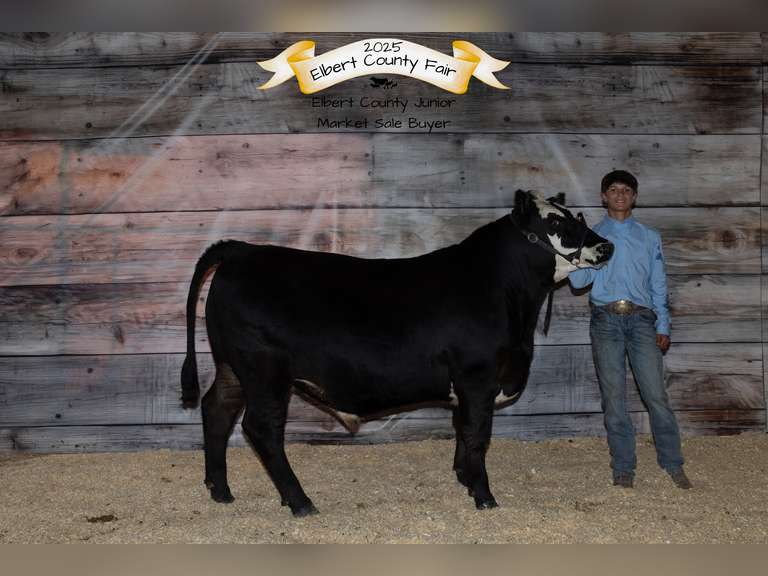 Dezmond  Aviles  Comanche Creek
