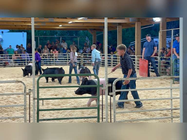 Van  Cutter  Running Creek 4-H Club