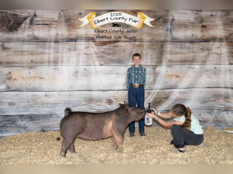 Azariah  Smith  Gold Creek 4-H