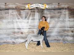 Trinity  Fulton  Rural Rustlers 4H