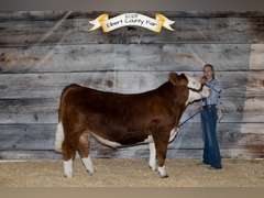 BRINLEY  WATTS  Kiowa Community 4H Club