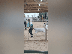 Kiera   Arnold   Sun Country 4H