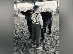 Barrett  Volosin  Rural Rustlers 4-H