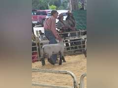 Landon  Offutt  Rural Rustlers 4h Club