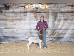Brooke  Mills  Comanche Creek 4-H
