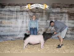 Addison  McWhorter  Ranchin Rookies 4H Club