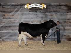 Kinley   Cornell  Rural Rustlers
