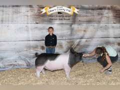 Savannah  Hinton  Kiowa Community 4-H