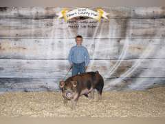 Hezekiah  Cabrera  Gold Creek 4-H