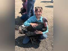 Naphtalie  Serven   Ranchin Rookies 4H