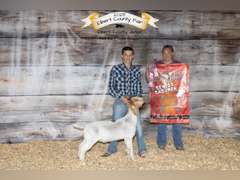 Collin  Arnold   Sun Country 4H