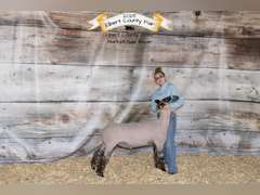 Tyler  Monks  Rural Rustlers