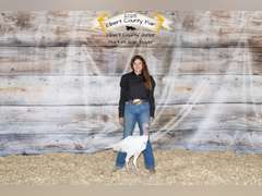 Alexys  Reeves  Kiowa Community 4H club