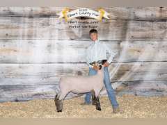Jack   Pyatt  Rural Rustlers