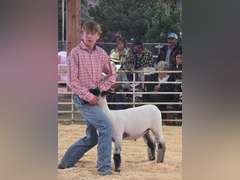 Landon  Offutt  Rural Rustlers 4h Club