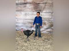 Sully  Cutter  Running Creek 4-H Club
