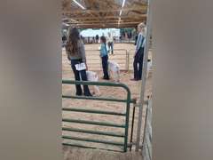 Kiera   Arnold   Sun Country 4H