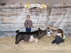 Phinehas  Brammer  Ranchin’ Rookies 4-H Club
