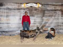 Nehemiah  Cabrera  Gold Creek 4-H
