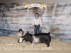Kaylee  Wyer  Kiowa Community 4-H Club