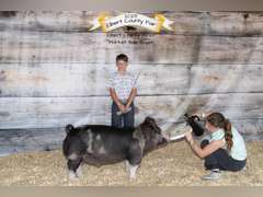 Dallen  Bringhurst   Rural Rustlers