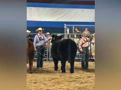 Troy  McWhorter  Ranchin Rookies 4H Club