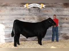Caden   Mcmanus  Kiowa Community