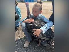 Kezzie  Serven   Ranchin Rookies 4H