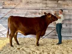 Katryna   Reitzig   Ranchin’ Rookies