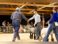 Tyson   Pfost   Rural Rustlers