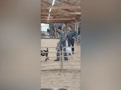 Collin  Arnold   Sun Country 4H