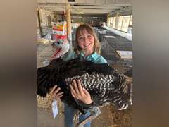 Naphtalie  Serven   Ranchin Rookies 4H